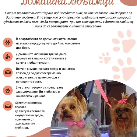 公寓 Terrace Under The Stars *