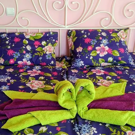 公寓 Terrace Under The Stars *