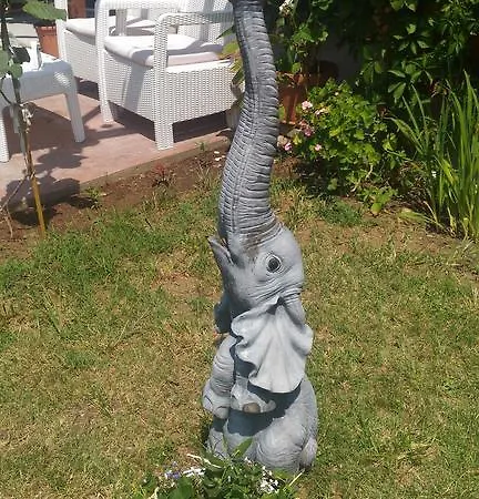 公寓 Terrace Under The Stars *