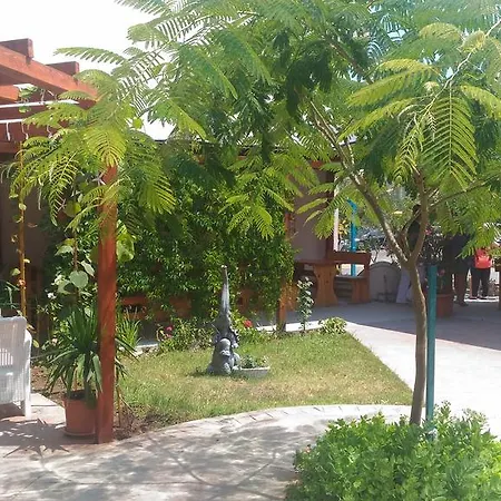 Terrace Under The Stars 普里莫尔斯科