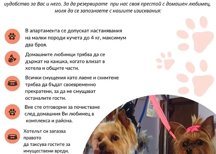 Apartment Terrace Under The Stars *