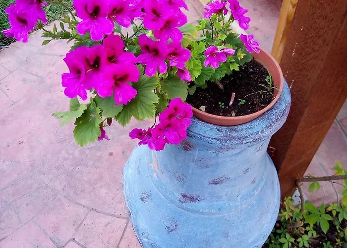 Apartment Terrace Under The Stars