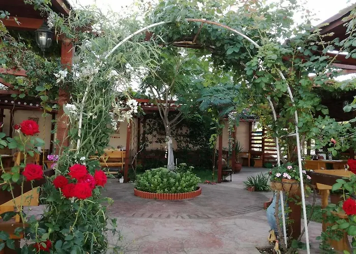 Terrace Under The Stars Apartment *